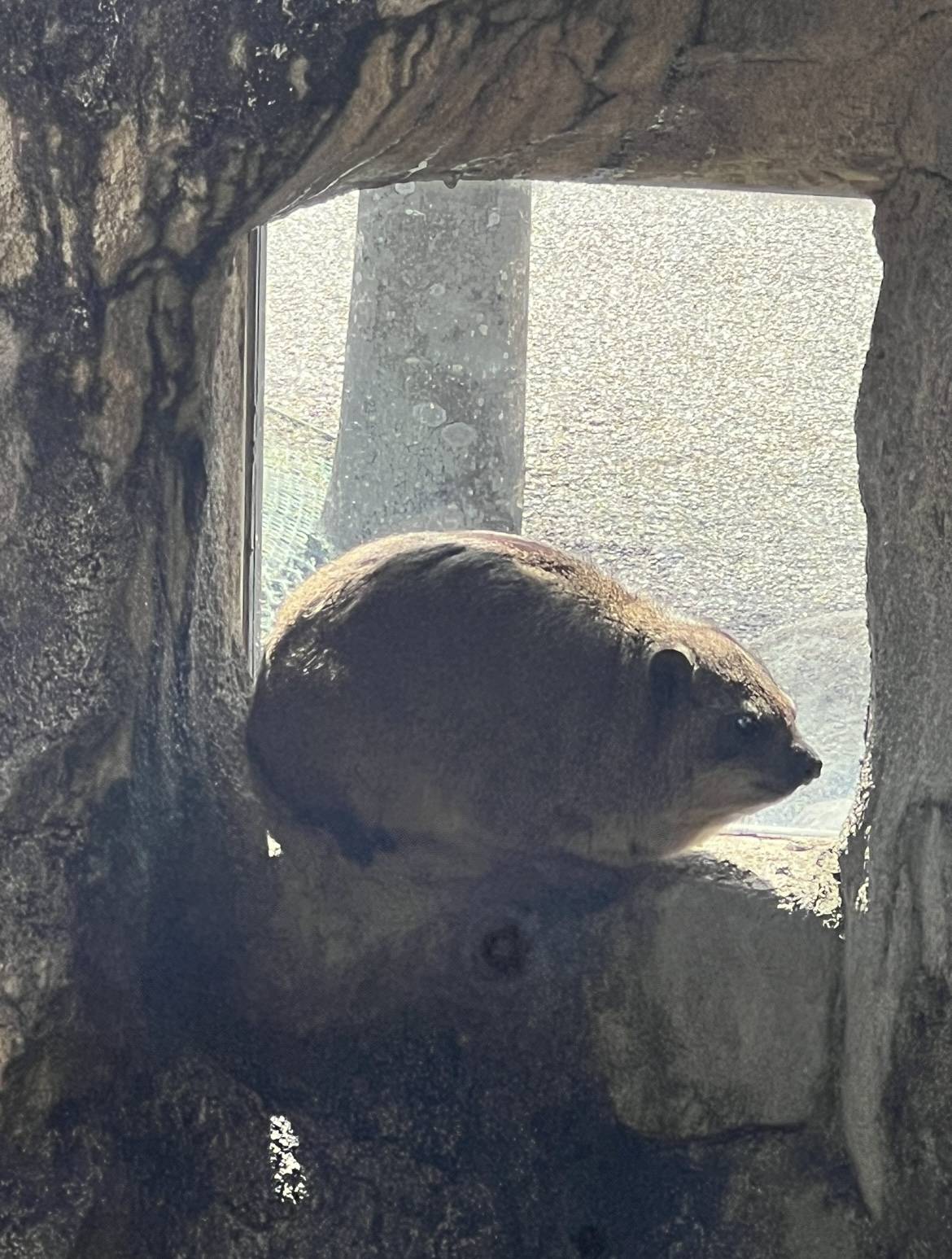 ベイクのお気に入りの場所3