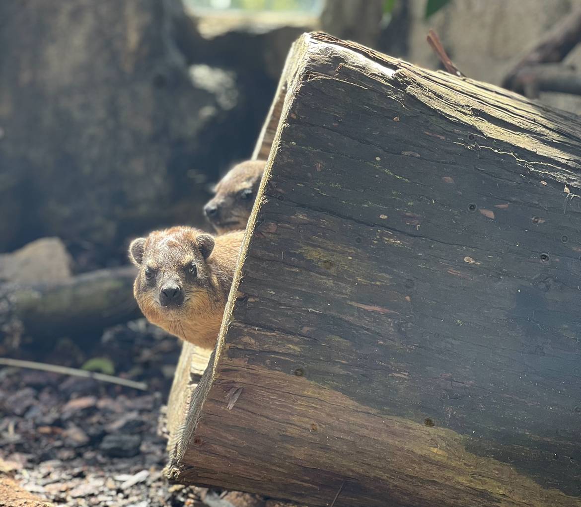 ベイクのお気に入りの場所6