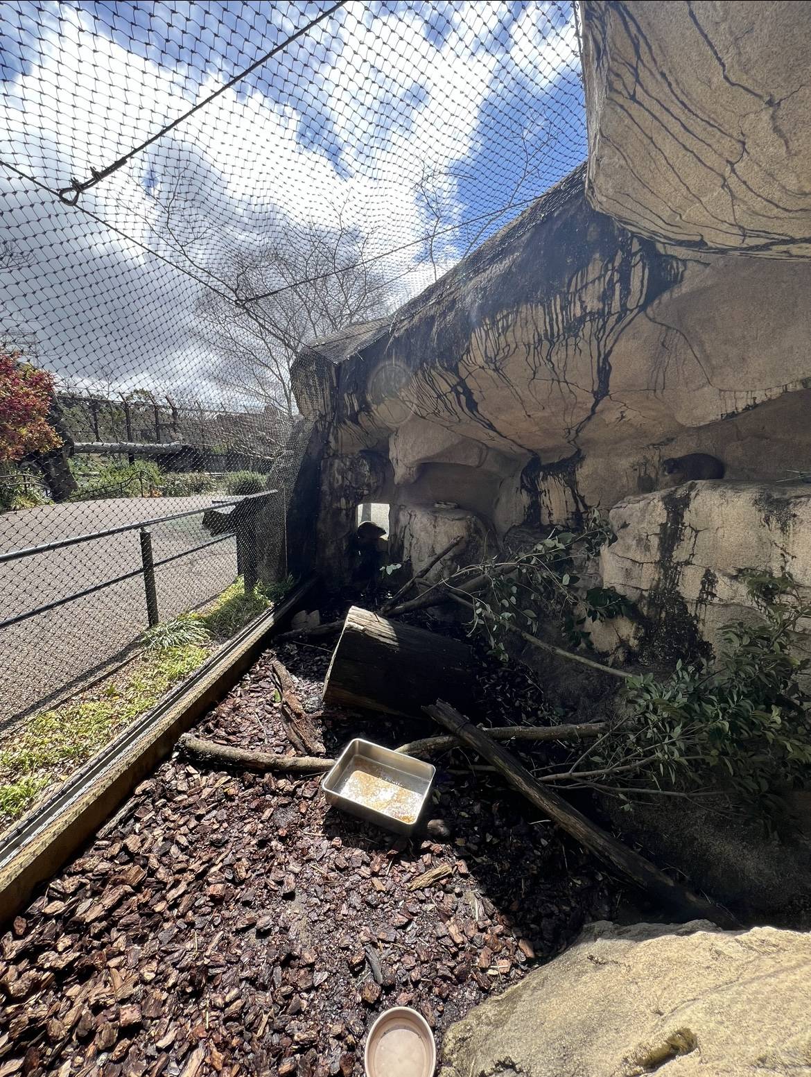 ベイクのお気に入りの場所1