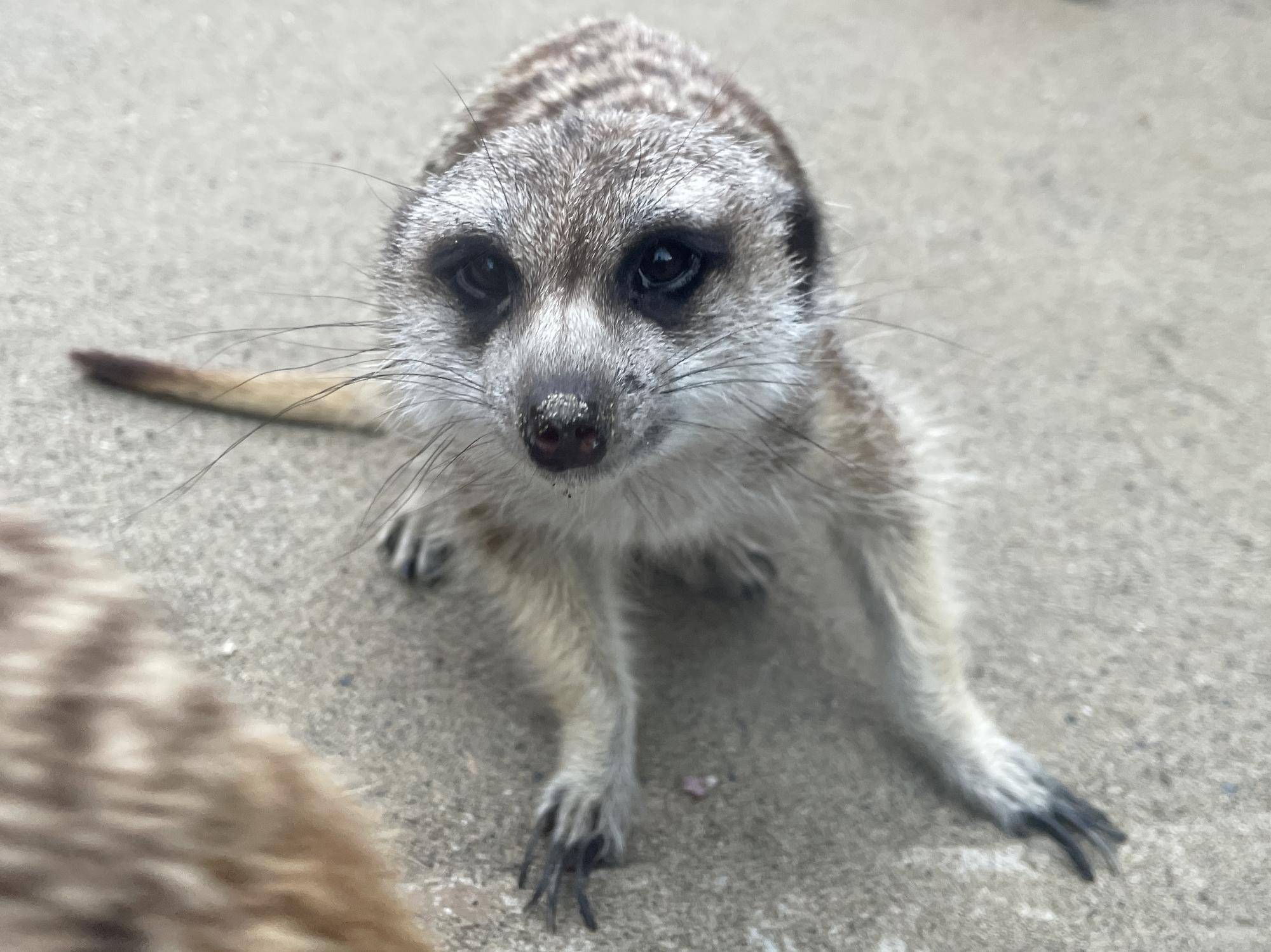 マモル　正面写真