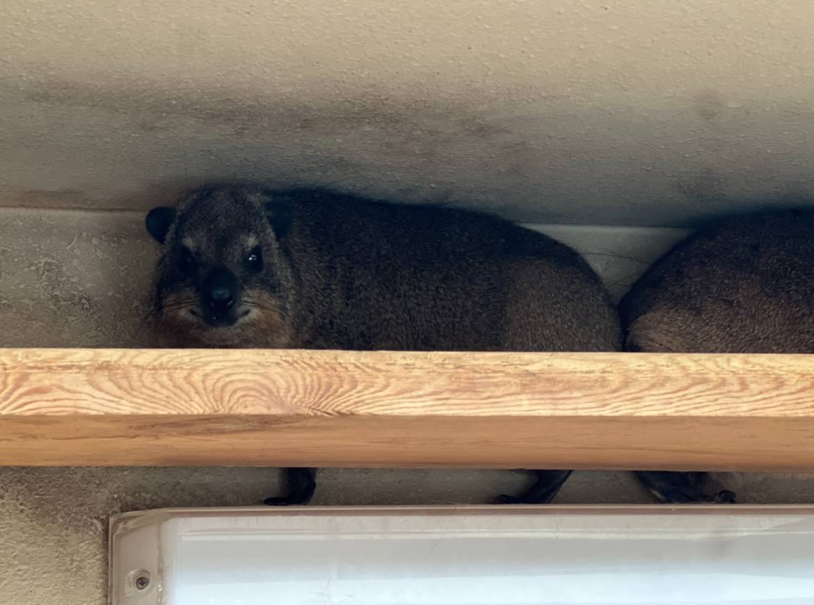 ベイク・ケーキ誕生日2