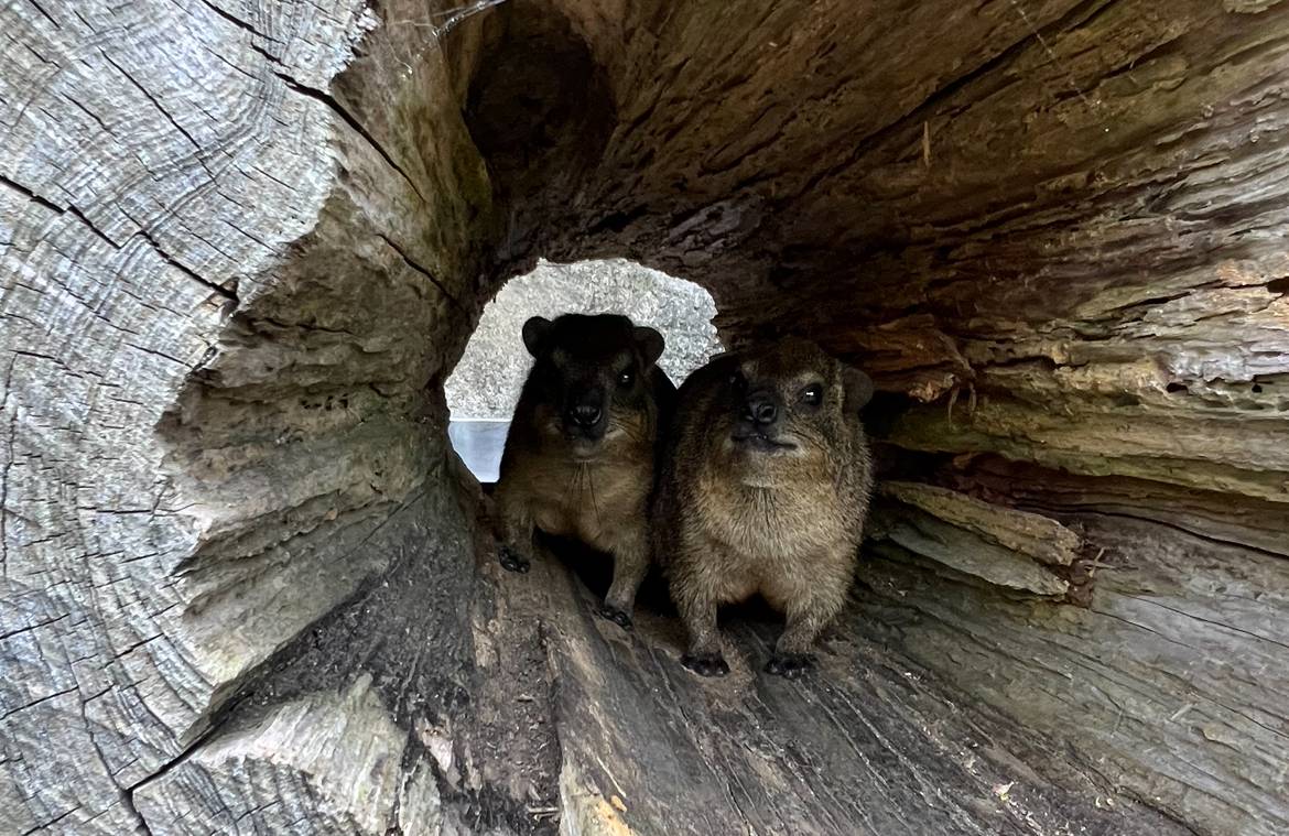 ベイク・ケーキ誕生日1