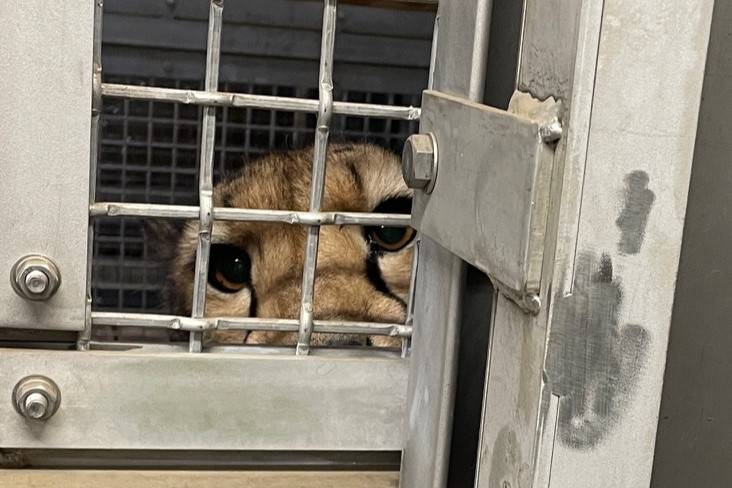 担当者を見るサハラ