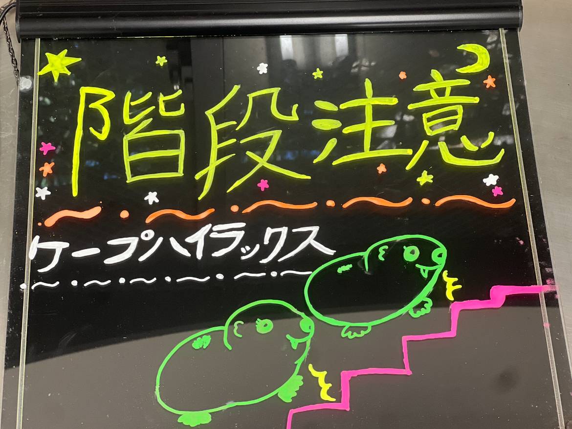 ハイラックスネオンボード