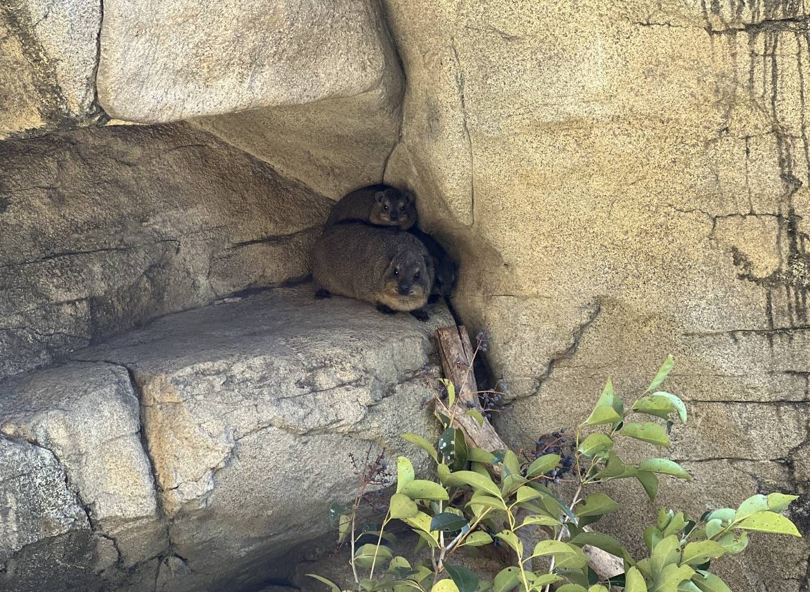 3頭...？親子写真