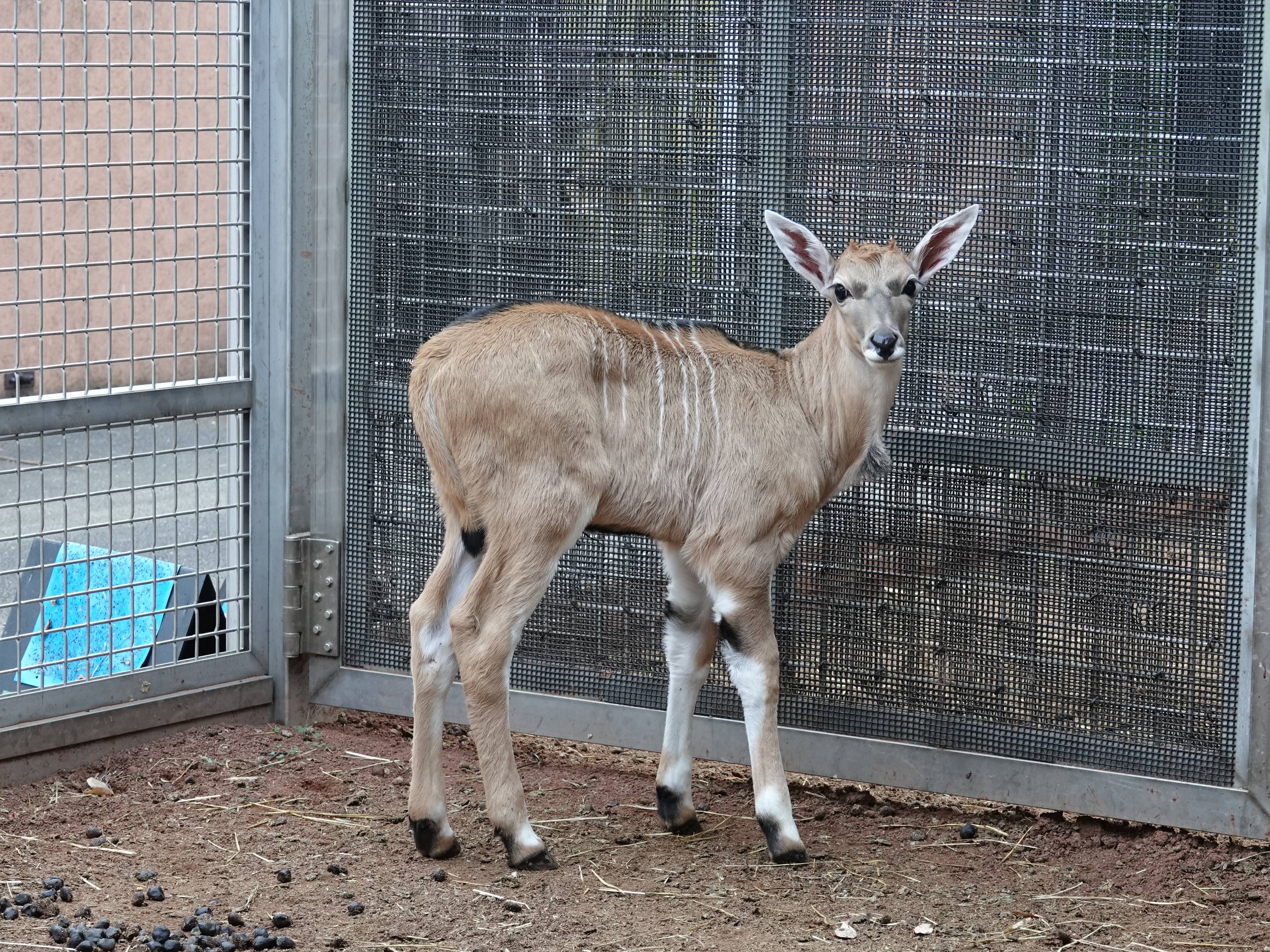 カルモ 5日目.jpg