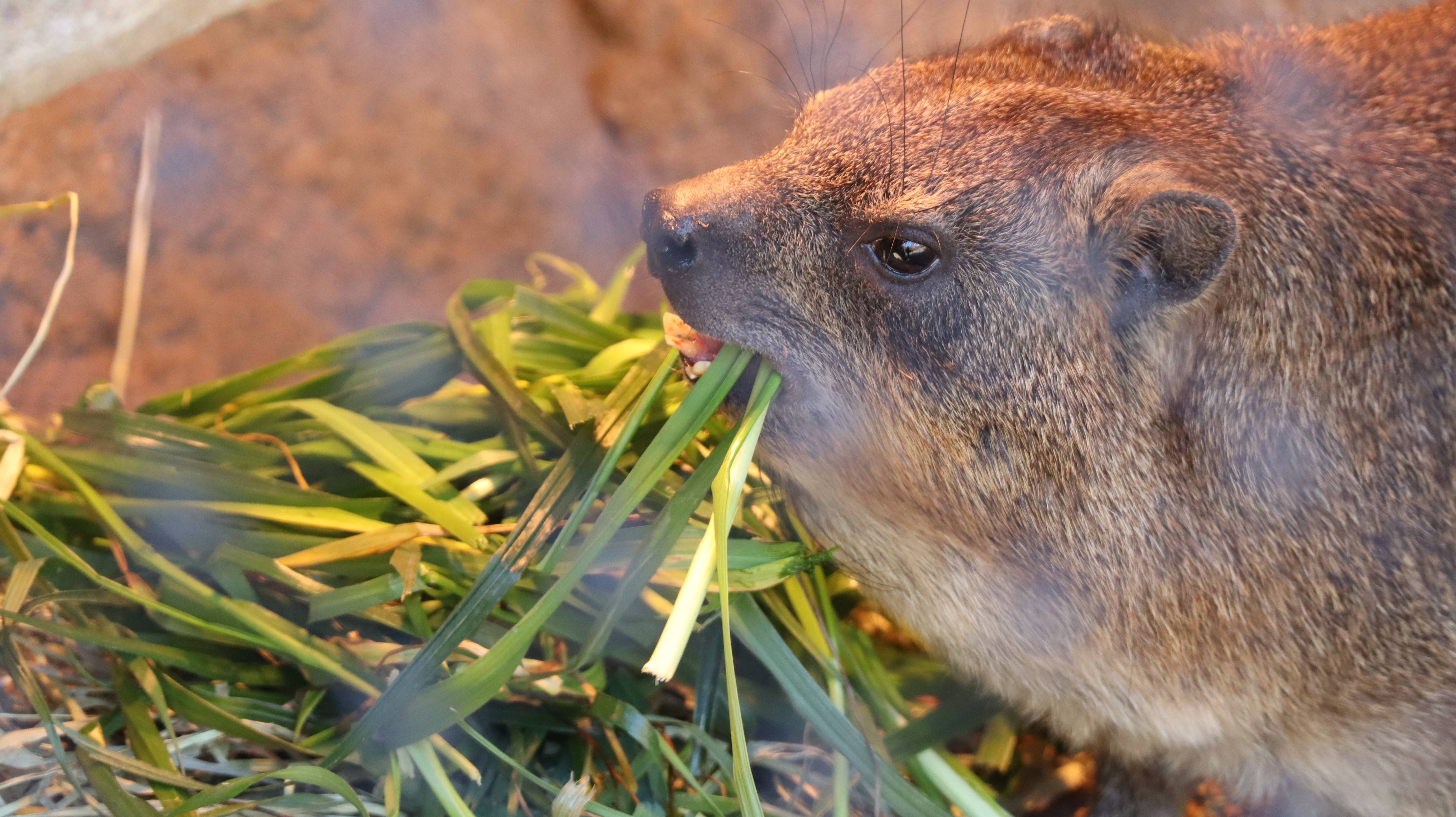 IMG_0183 - コピー.jpg