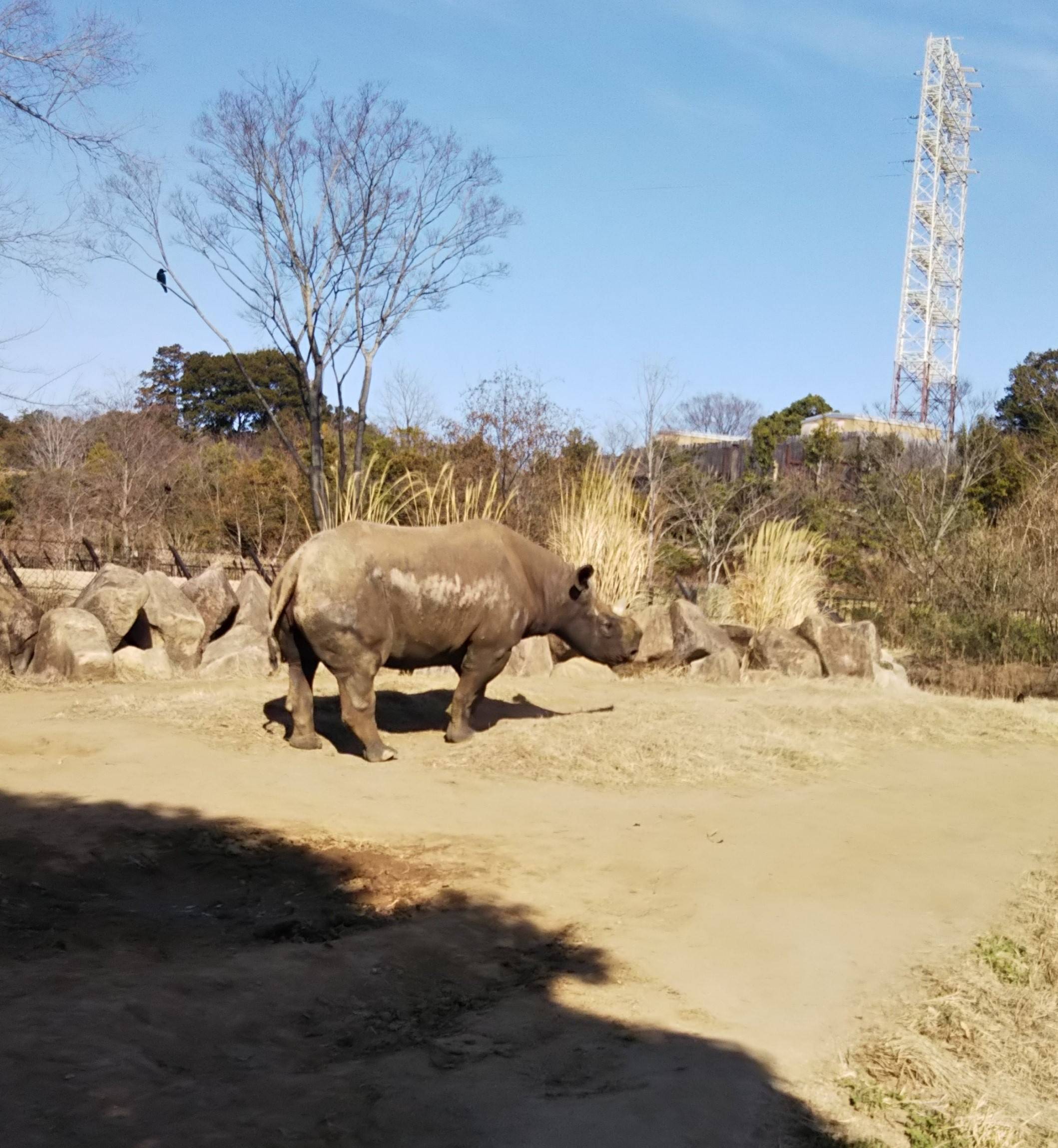 2月24日PMアキリ 出た!.jpg