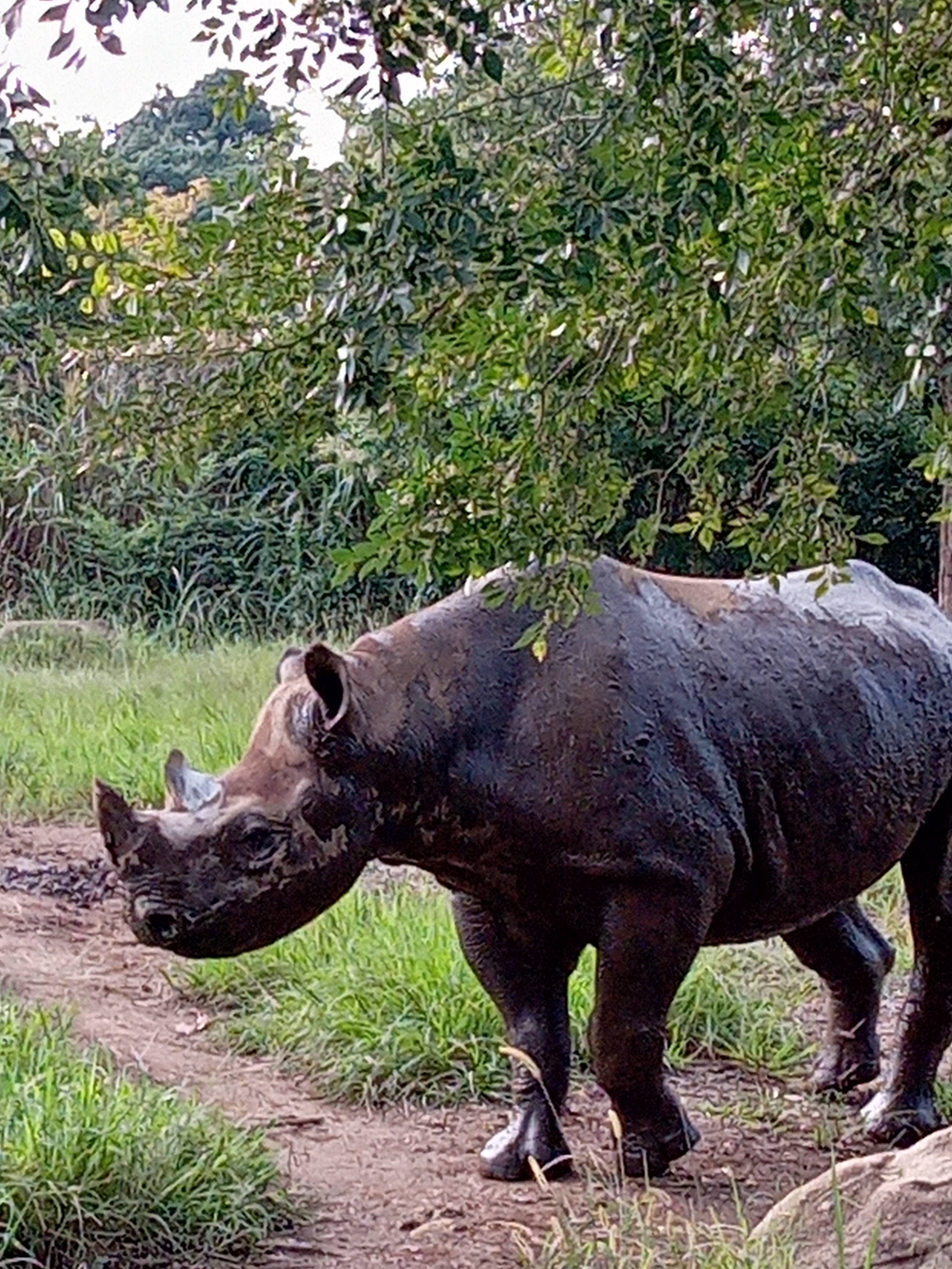 2021.09.15 泥んこアキリ2.jpg