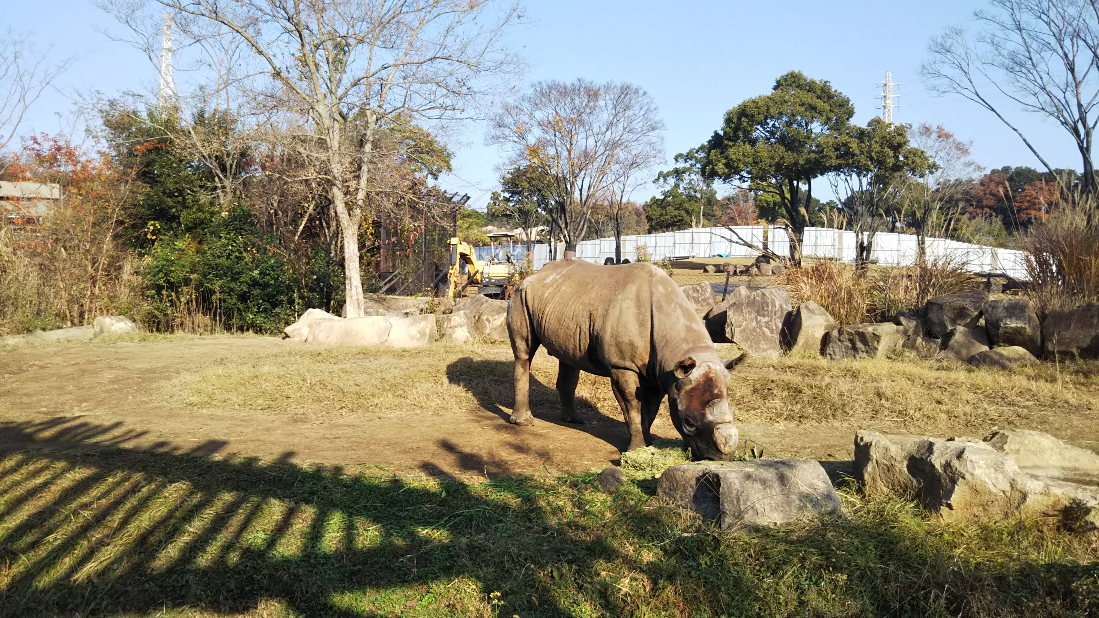 2020-12 工事中のニル.jpg