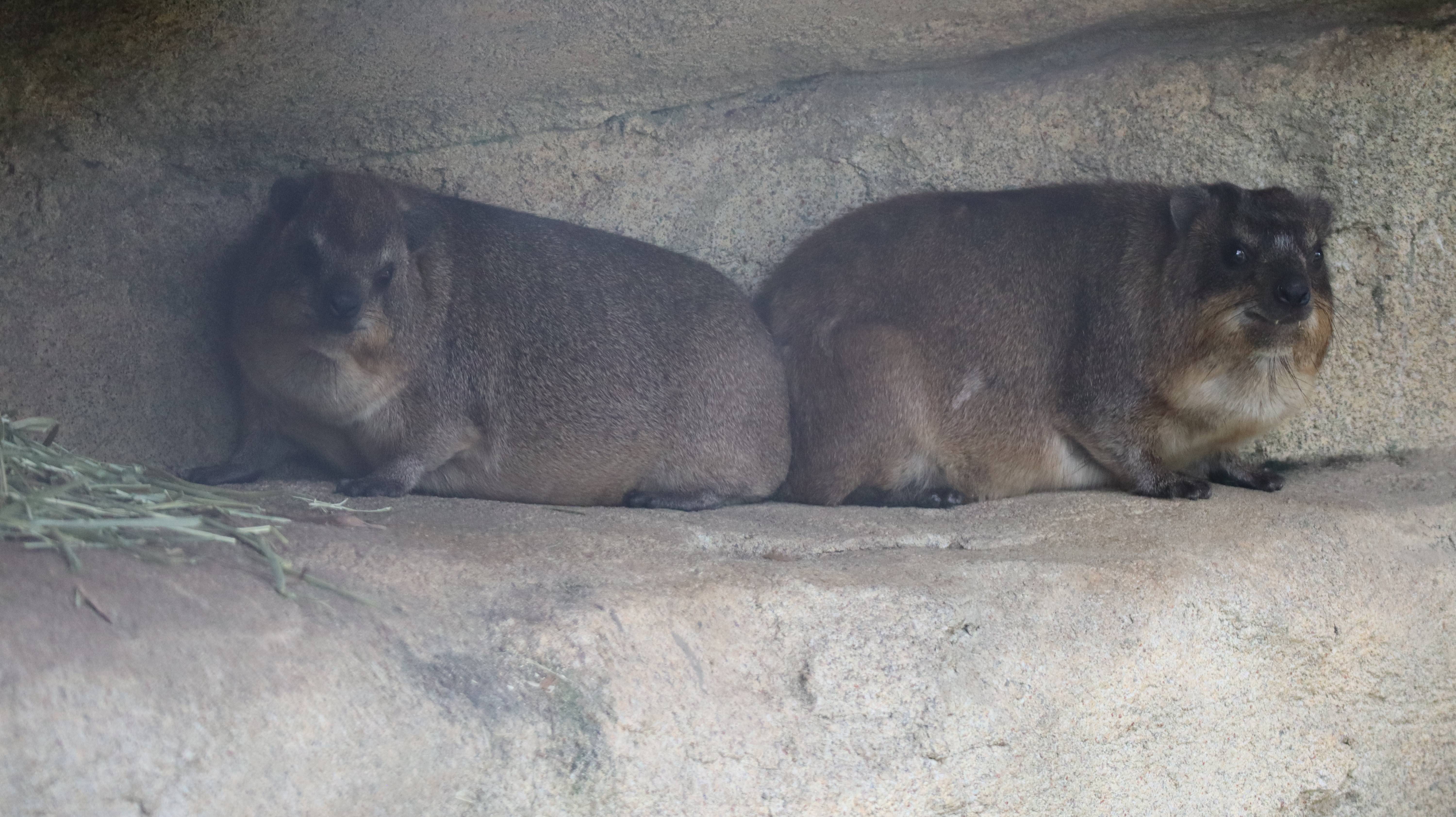 ペアリングをしている様子 (2).jpg