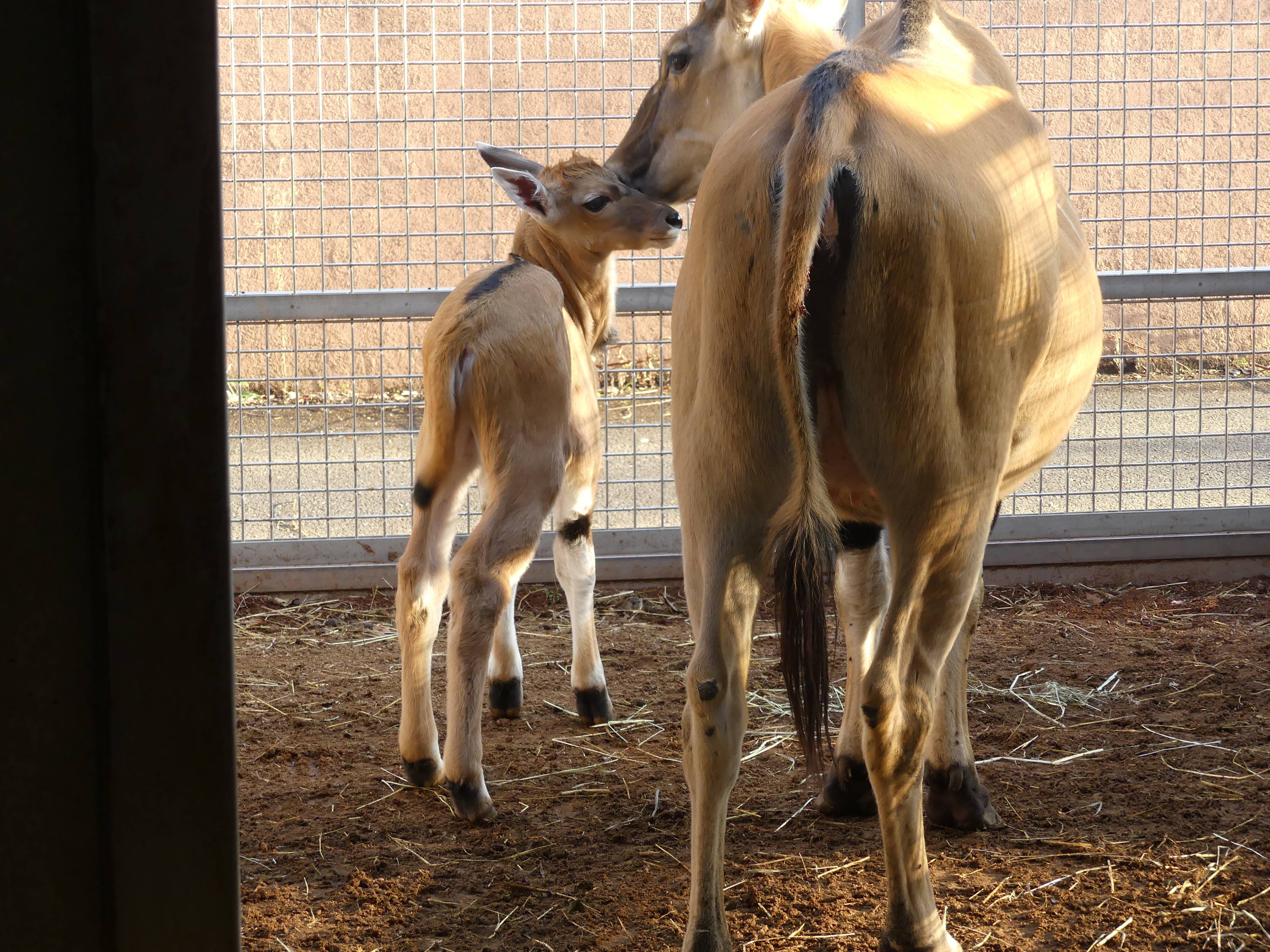 カルモ 7日目.jpg