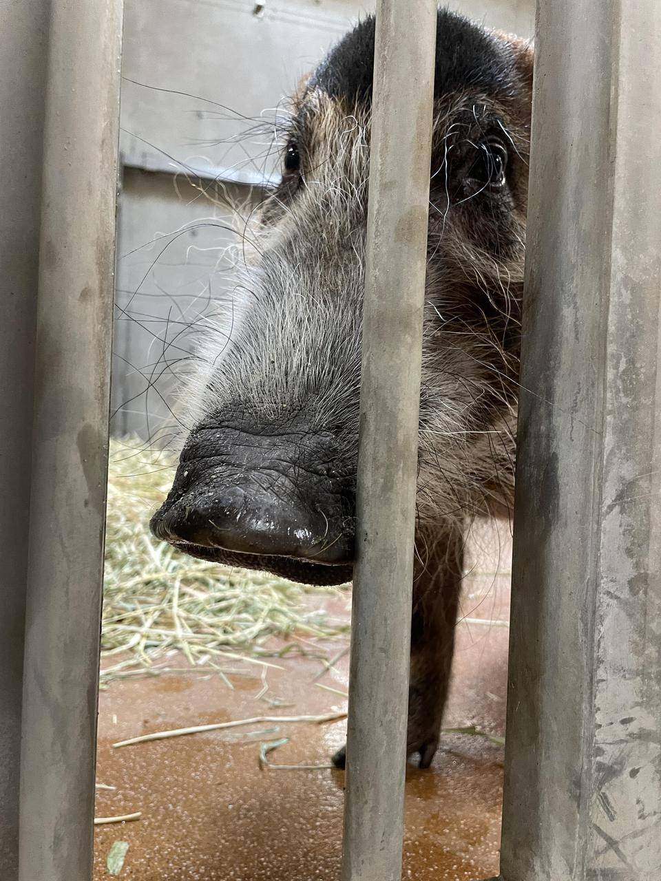順調だったのですが⑦