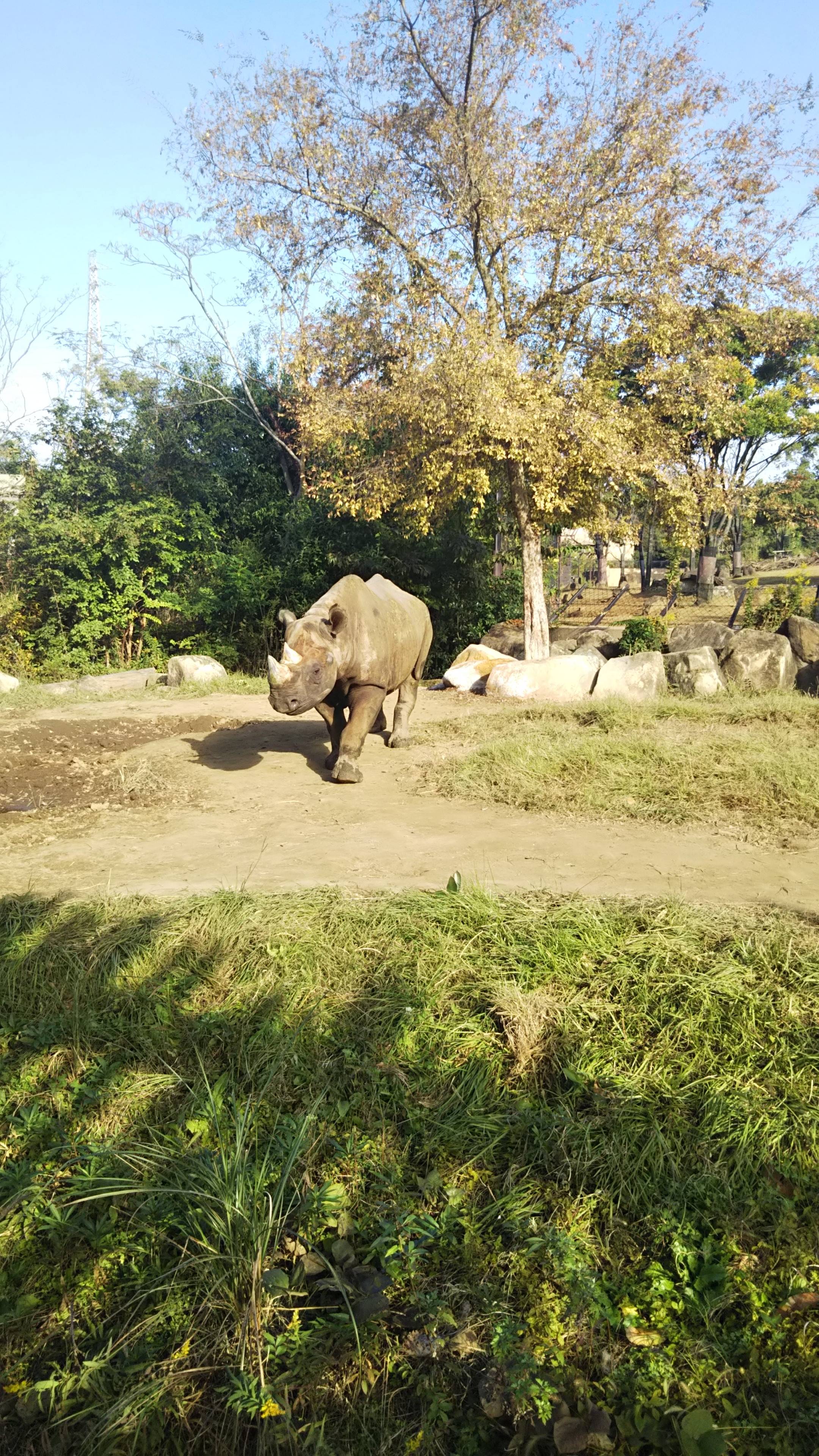 2020.11 単独屋外展示①.jpg