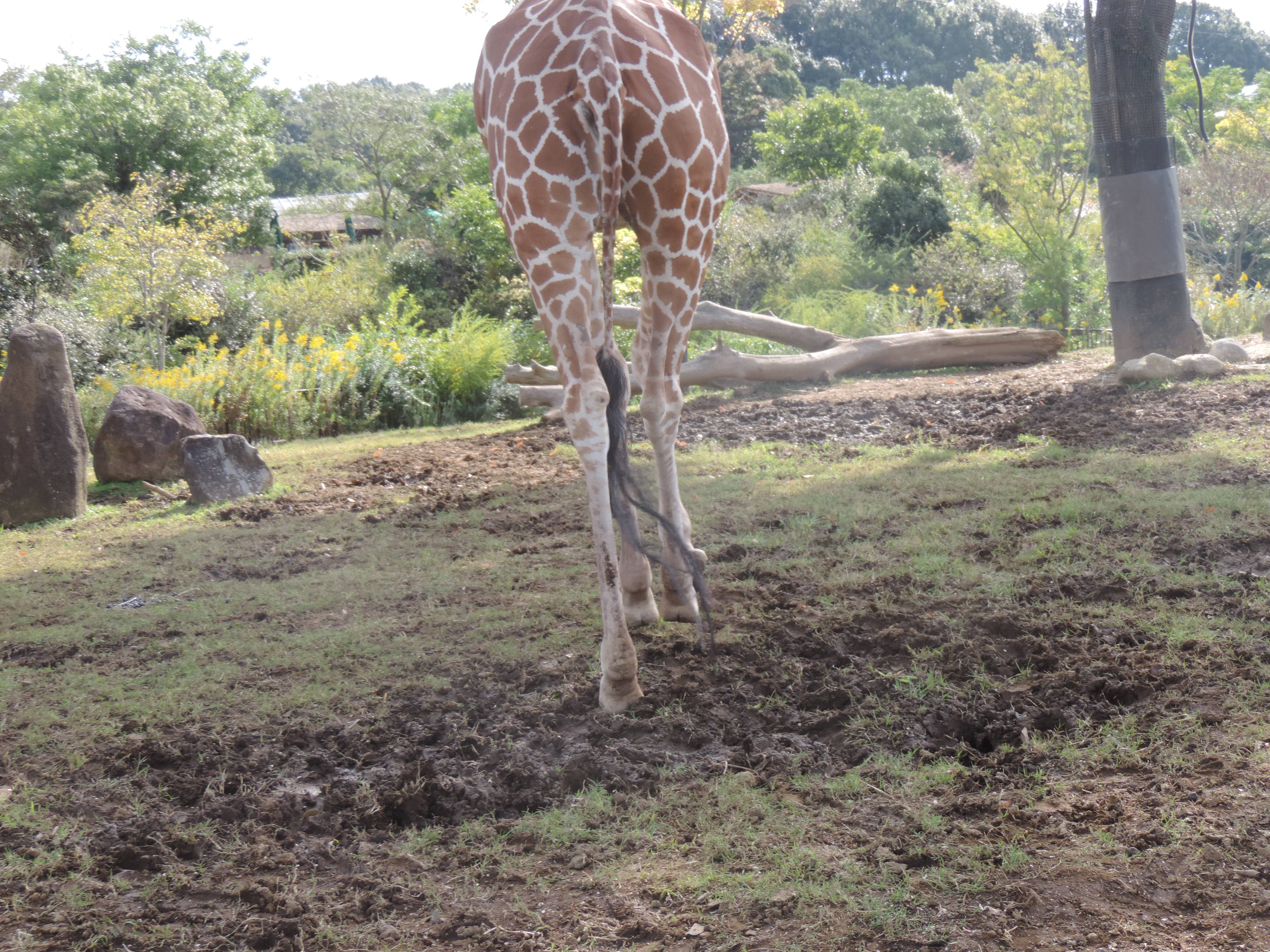 DSCN4052.jpg