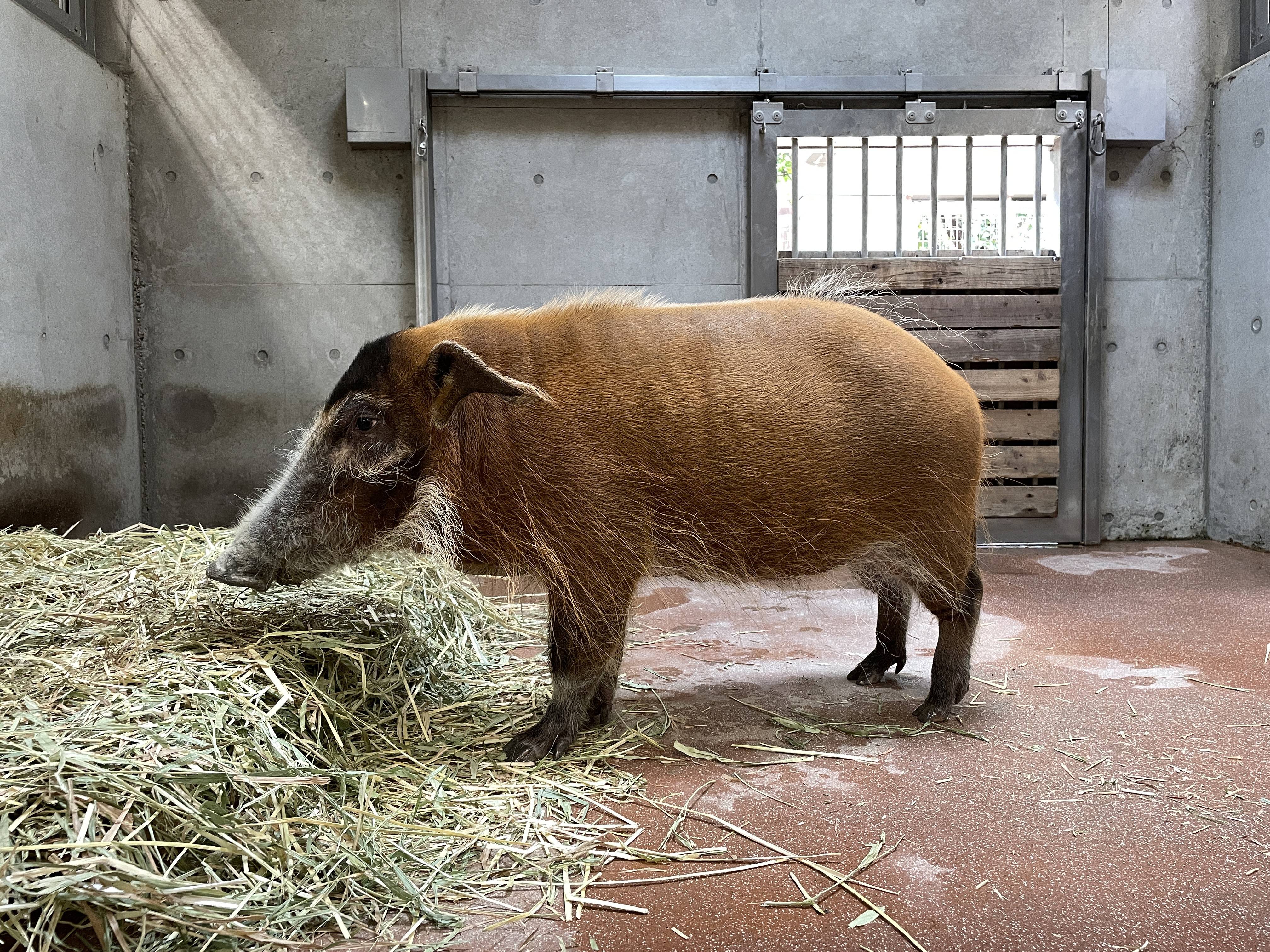 順調だったのですが⑦