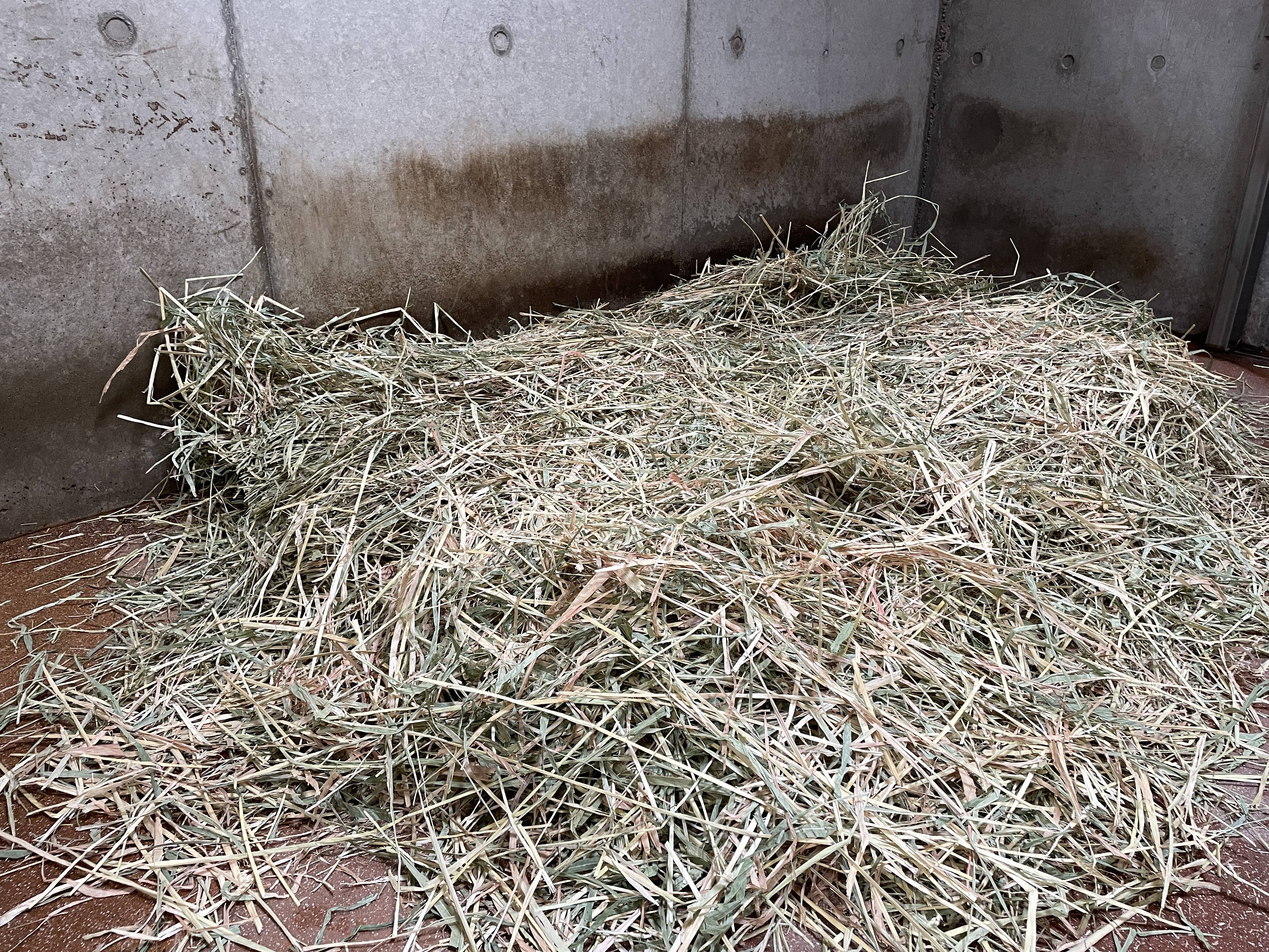 順調だったのですが➁