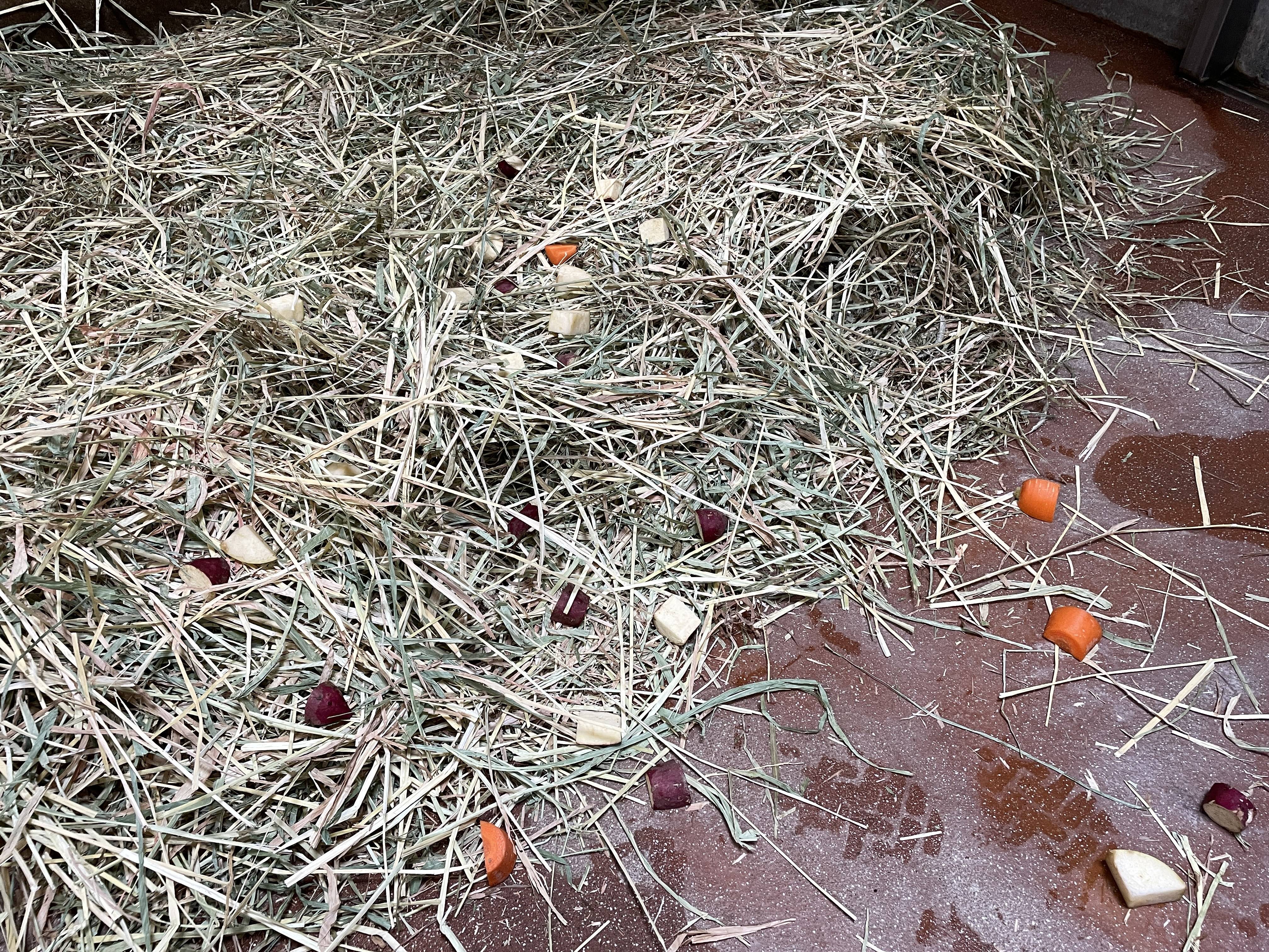 順調だったのですが③