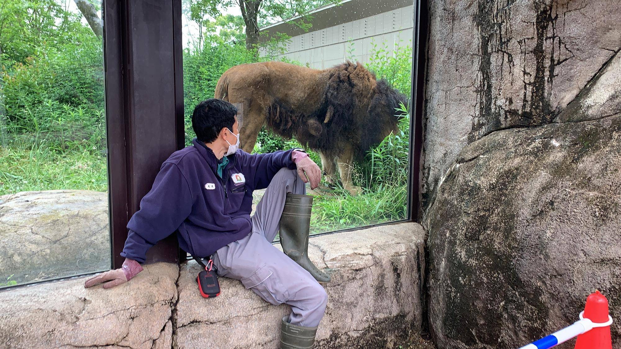 シドウを観察する飼育員.jpg
