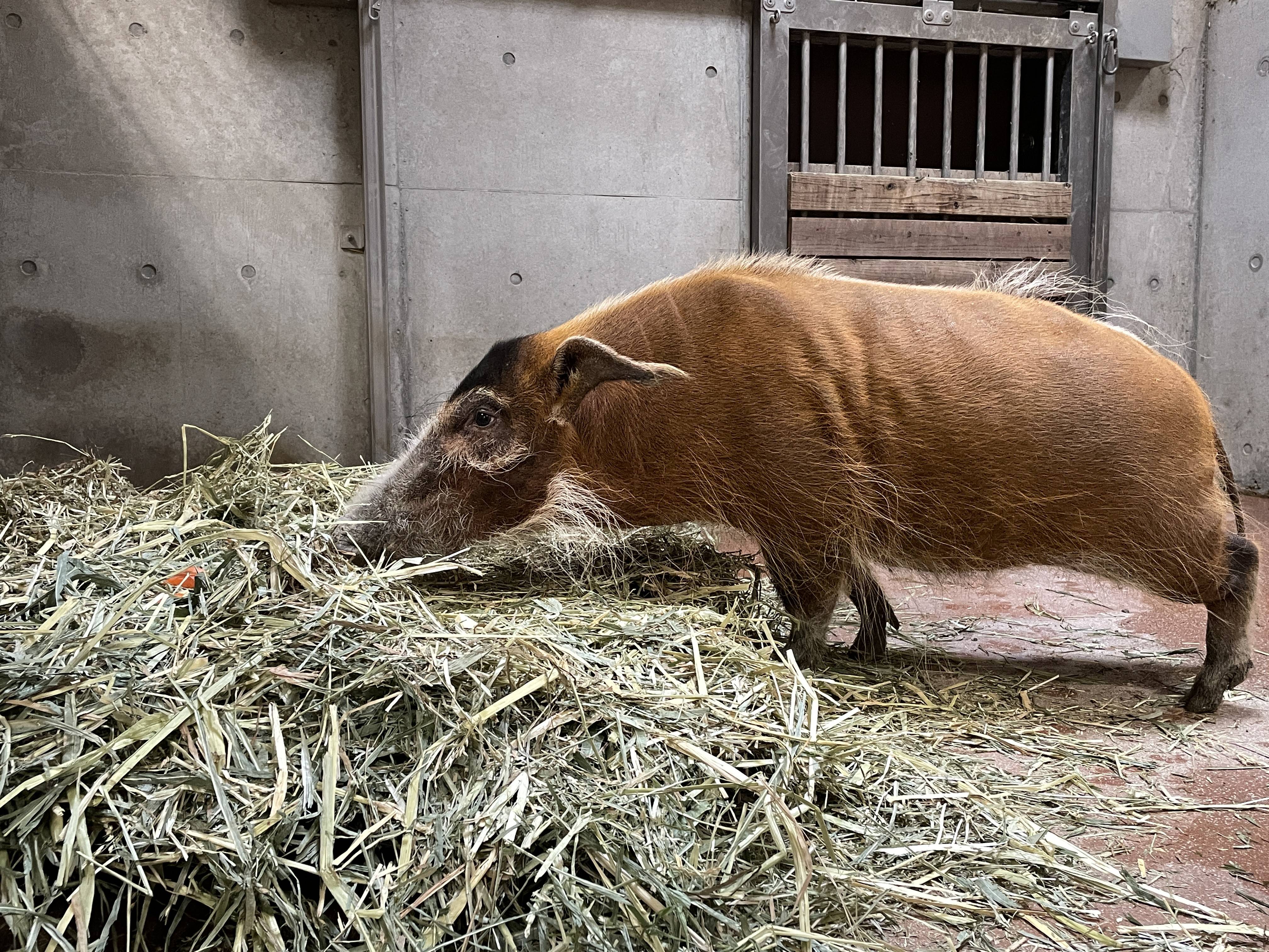 順調だったのですが⑤