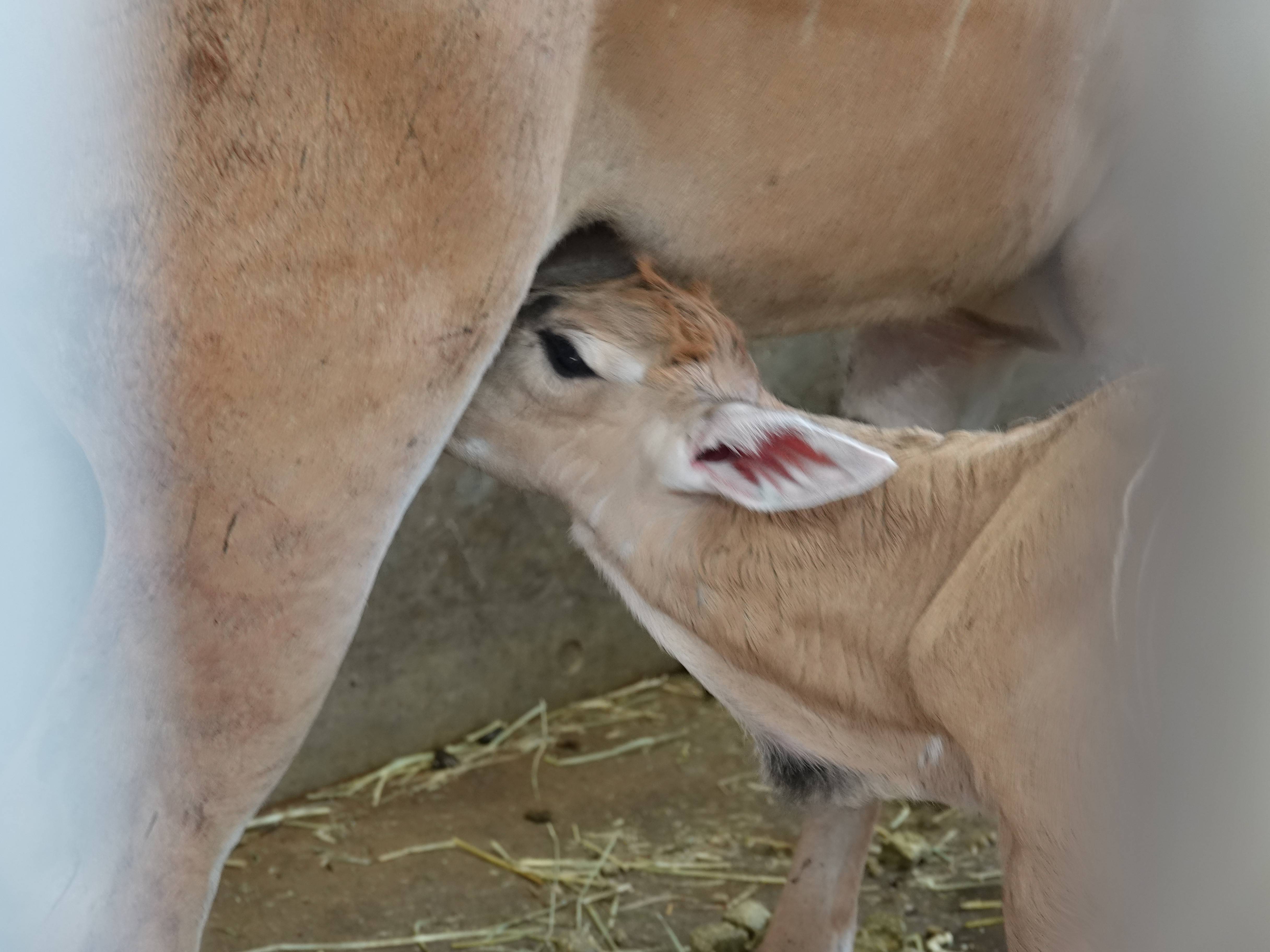 カルモ 1日目3.jpg