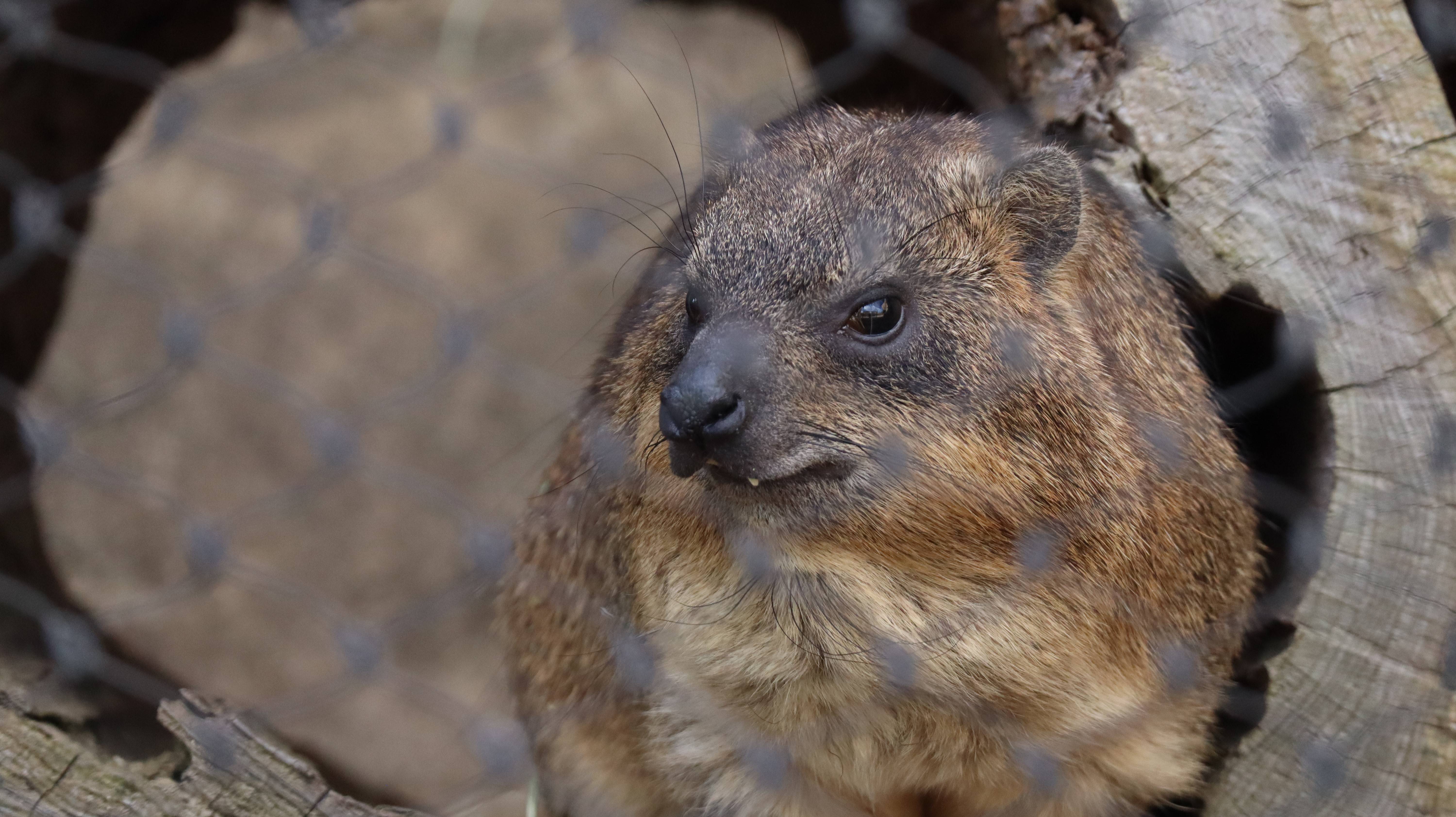 IMG_0206 - コピー.jpg