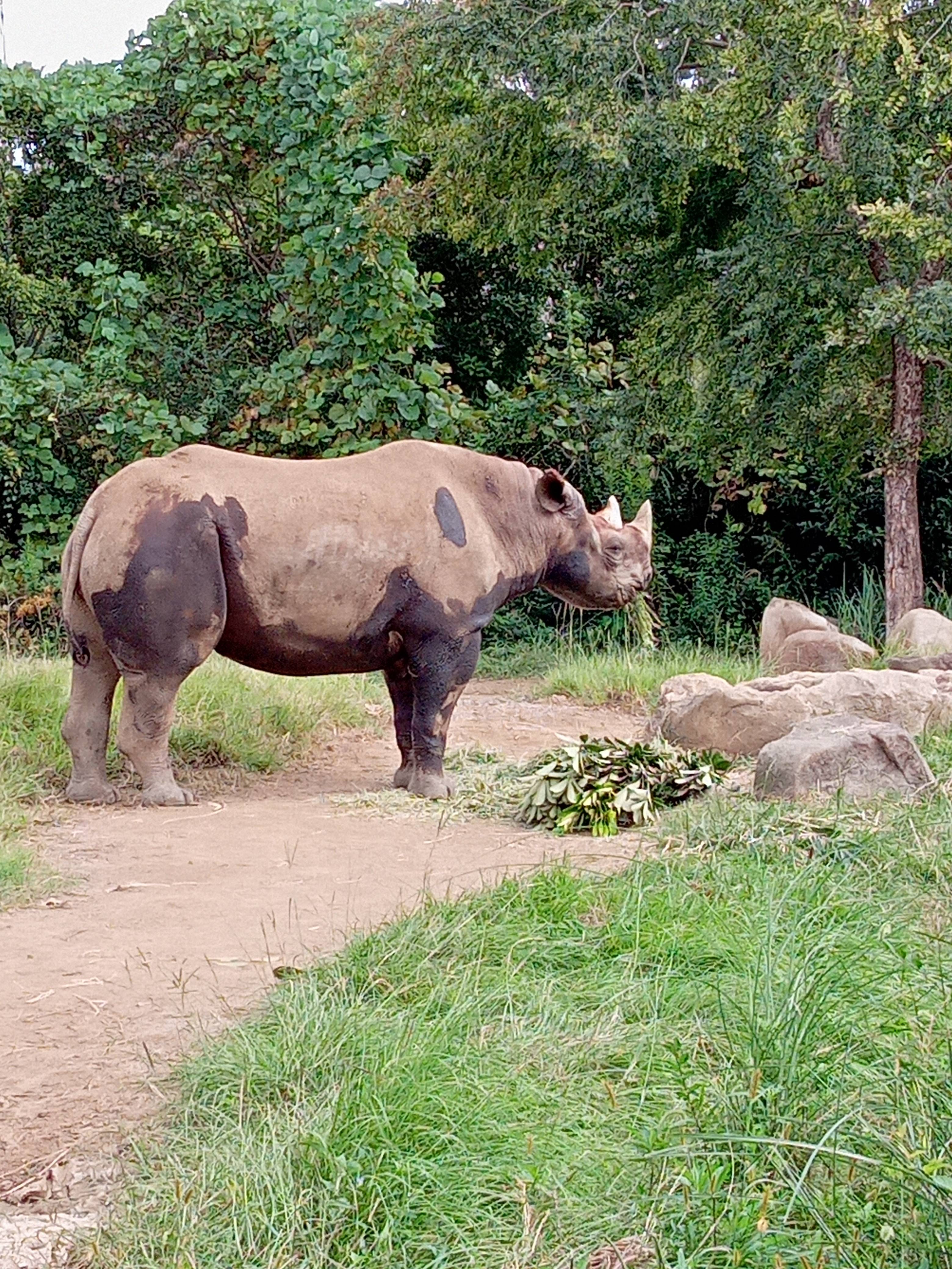 2021.09.30 三色アキリ.jpg