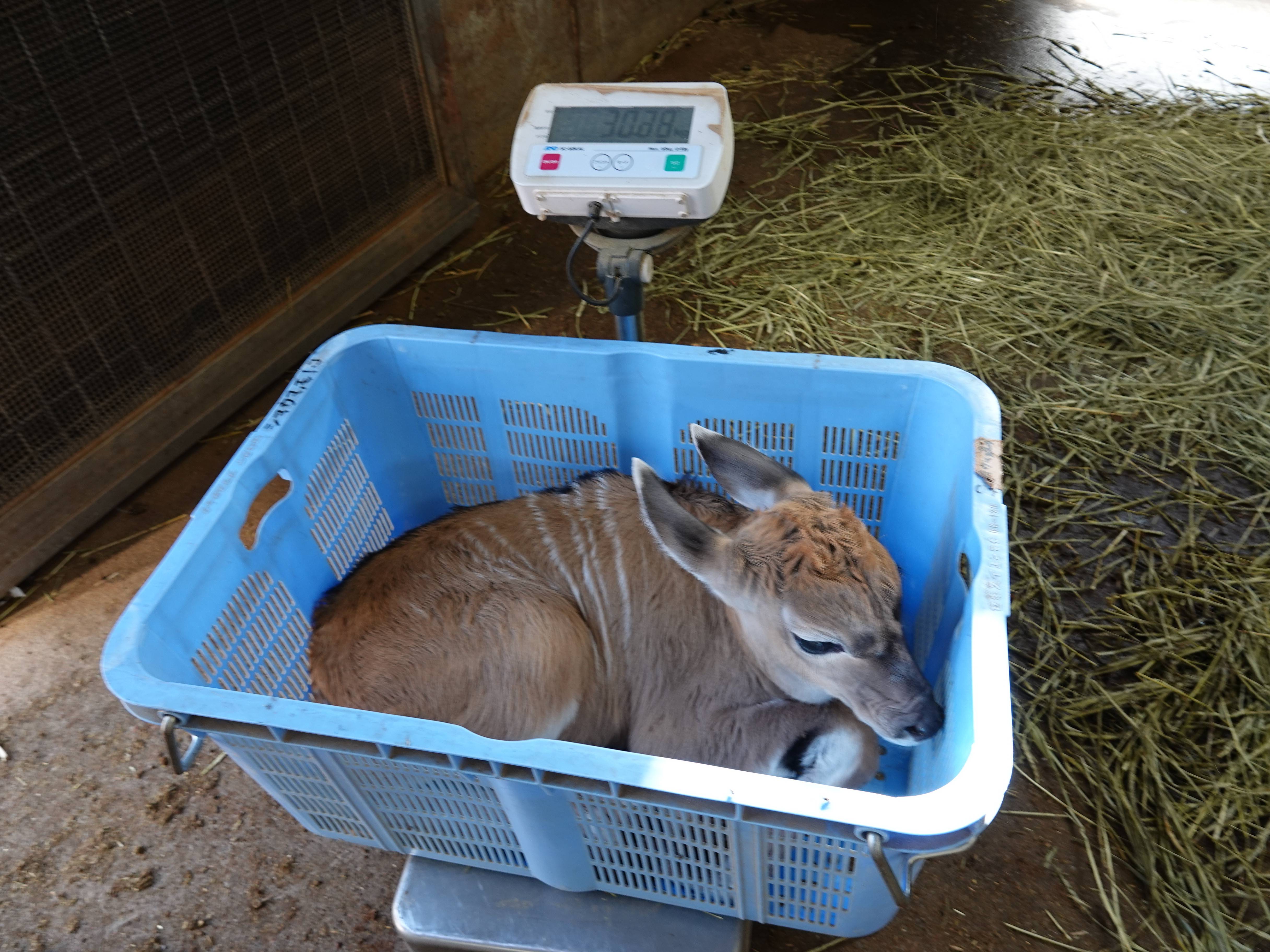 カルモ 1日目.jpg