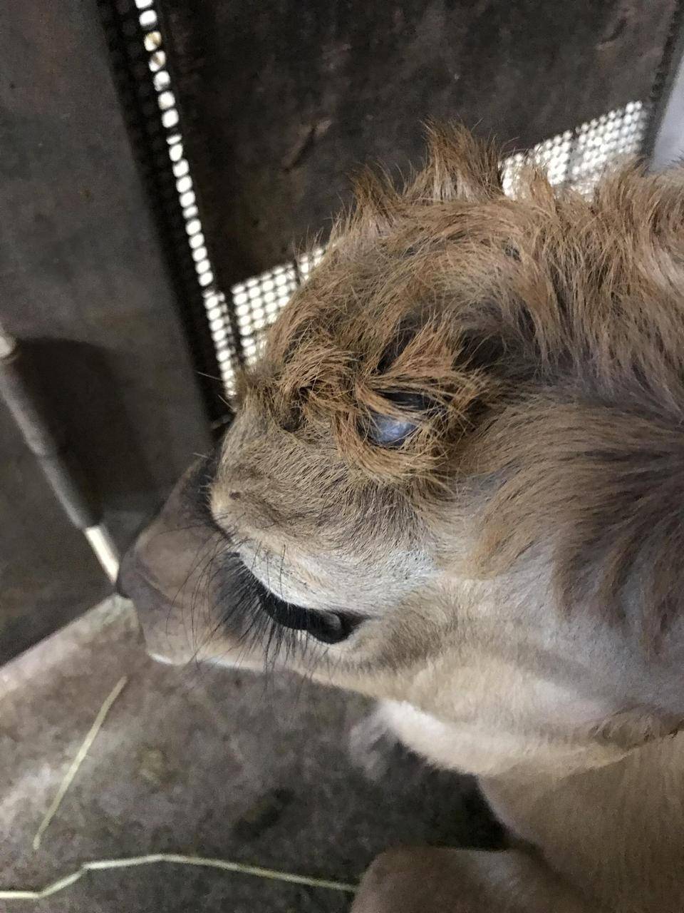 カルモ 10日目.jpg