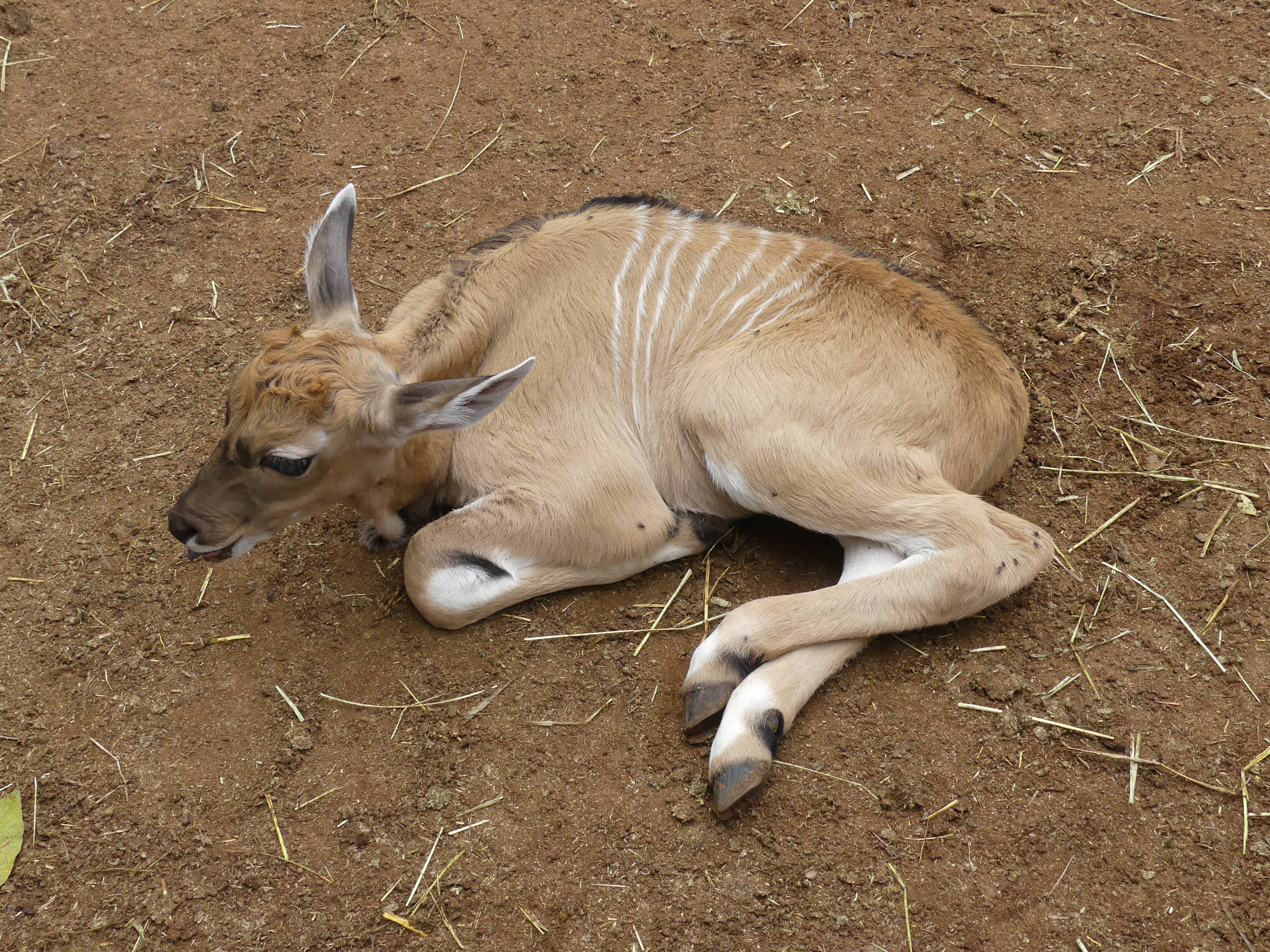 カルモ 2日目.jpg