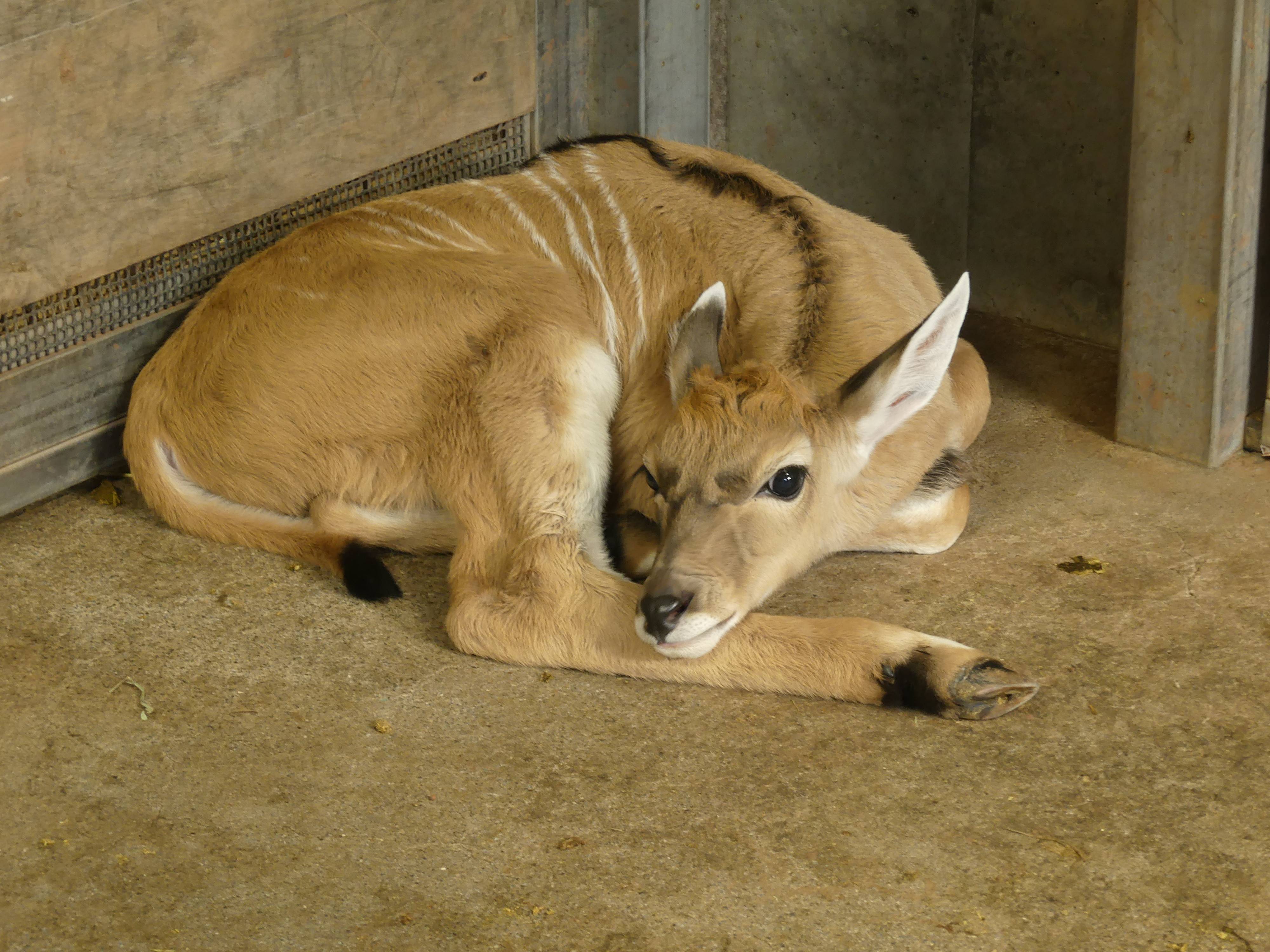 カルモ 3日目.jpg