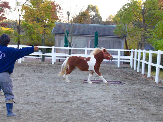 動物園がお休みの日には・・・の写真