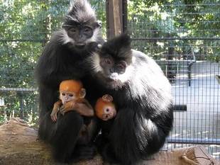 こんなに黒くなりました!