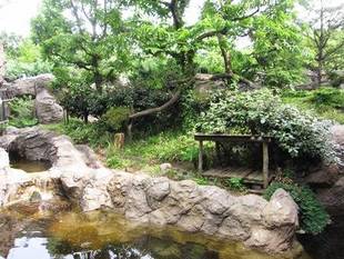 ひと足お先に・・・