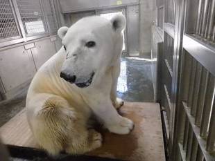 出発前チェック