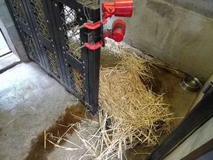 愛用の〇〇〇。