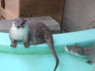 ご無沙汰しておりますが...