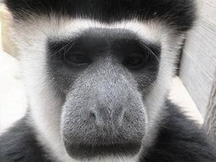 年賀状にいかがでしょうか?