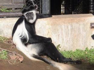 ギガースの横、空いてますよ。