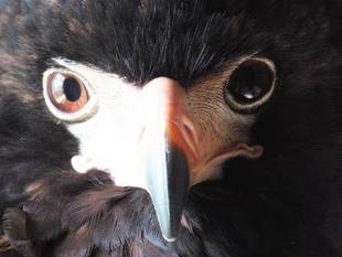 カッコいいはずなのに...