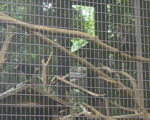 メンバーチェンジ!