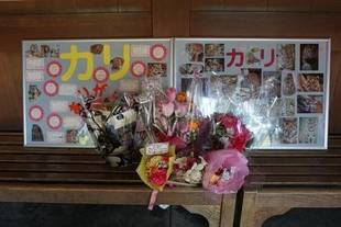 慌ただしい日々-②