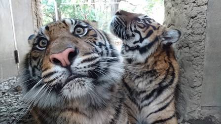 ダマイ特集!(^^)!の写真