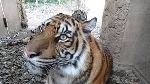 ミンピもね・・・