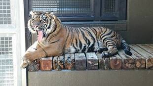 ミンピのその後①