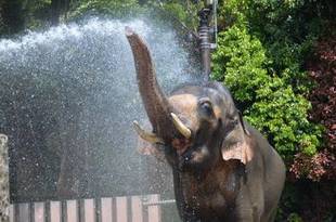 ついに!!解禁♪