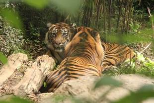 2年以上ぶりで・・・(*^。^*)