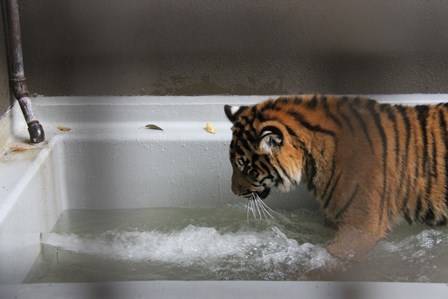勇気を出して!の写真
