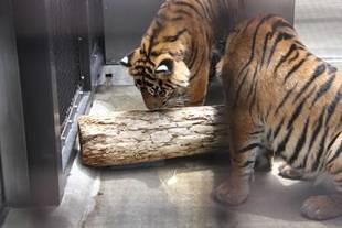 視線の先には・・・?