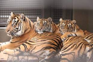 クリスマスプレゼント③